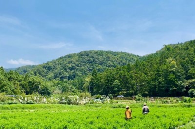 雙連埤里山市集小旅行攻略 (9)